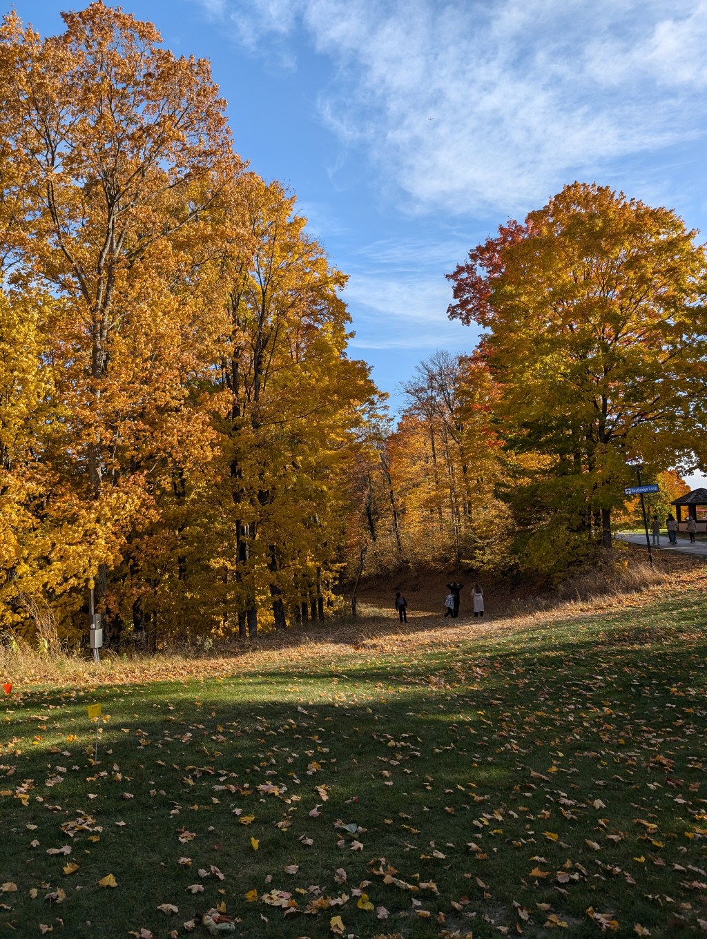 Descubre el Otoño en Michigan: Colores y&nbsp;Tradiciones